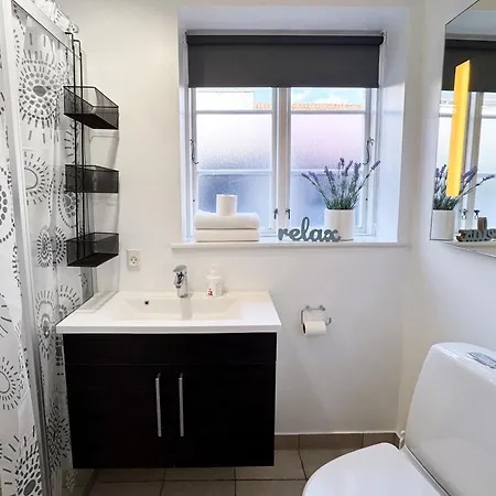 Hyggelig I Hjertet Af 公寓